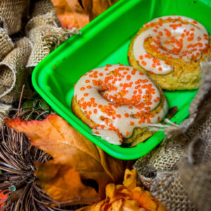 Pumpkin Spice Protein Donuts