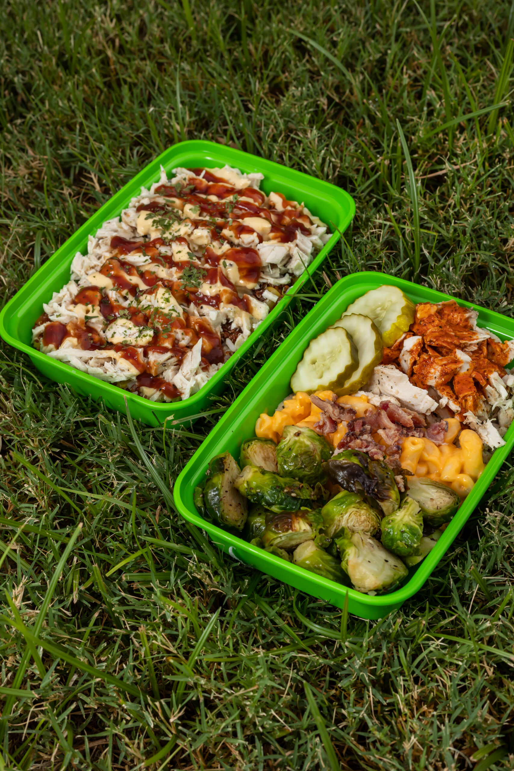 Two meal containers on grass containing Lean Kitchen meals with sauces and vegetables